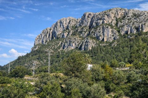 Tomt i Benimeli, Alicante, Benimeli - € 83 000 | Ref: PNPT297 - foto 23